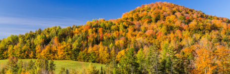 Escapade d'automne en Nouvelle-Angleterre - Les Green Mountains